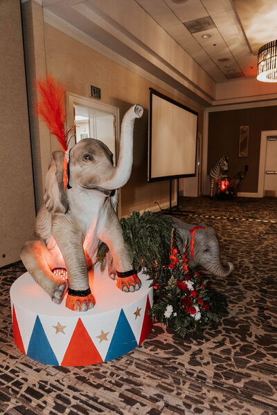 Circus party decor for event planned by Fancy Chancey in San Diego CA