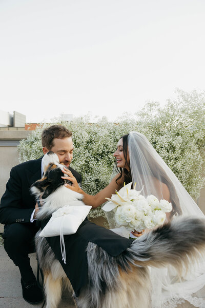 Bride and groom share excitement for their dog ring bearer in Boulder Colorado