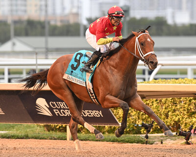 Bay horse Tappan Street winning the Florida Derby.