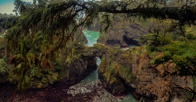 bridge