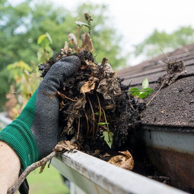 Gutter Cleaning Near me