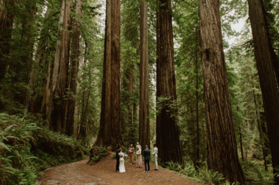 LGBTQ+ couple standing together during their adventure elopement ceremony in Redwood National Park in Northern California