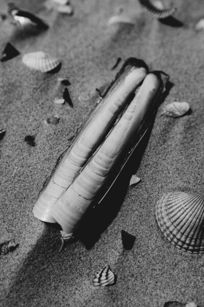 Prints Dijk Ocean Store_88_websize