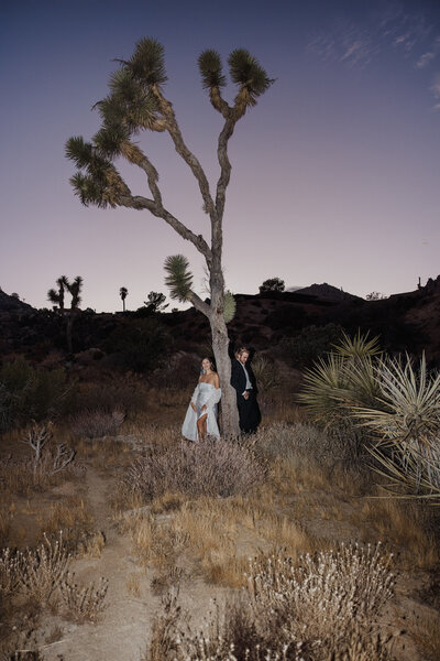 A couple getting married in the desert in Joshua Tree
