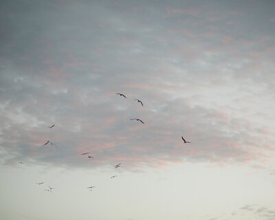 emilie-white-spain-photographer-246