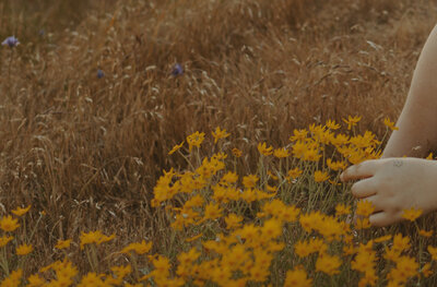 girl sitting in wildflower field