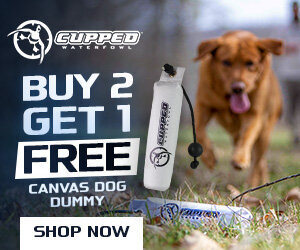 Cupped-DogDummy-buy2get1-avantlink-300x250
