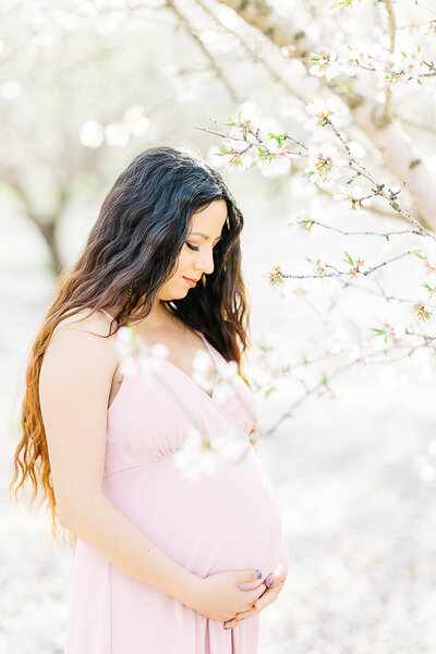 Maternity Session | Almond Blossoms | Chico-1-3