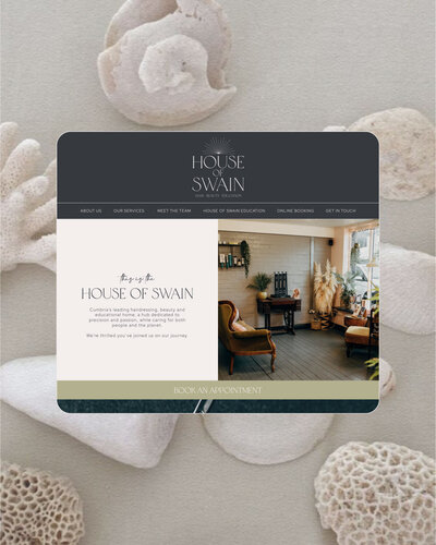 Screenshot of homepage from House of Swain website