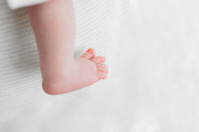 Family Photographer in Collingwood Ontario