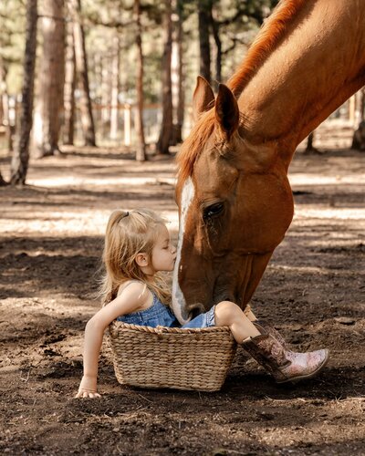 girl sitting in basket by horse