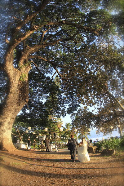 Caroline Morey Wedding Photographer Maui Destination Wedding Olowalu Plantation Wedding110413_8093456 x 5184