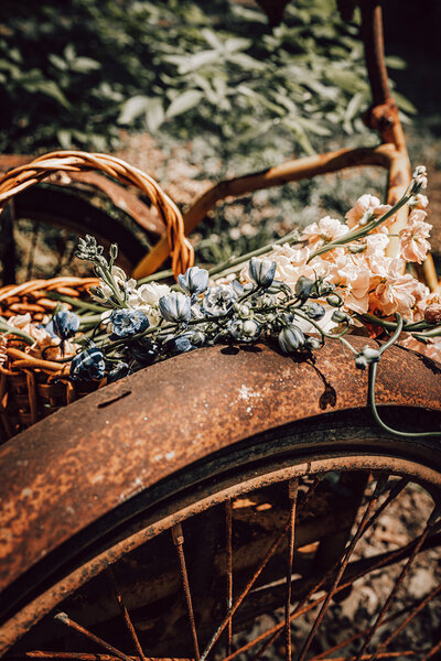 Close-up of flowers on a rusted antique bike during florist branding session in Austin, Texas