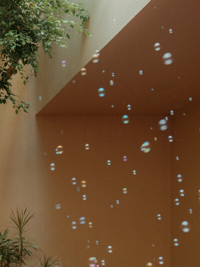 Couple embracing outdoors near Civic Center garden walkway, film elopement photo.