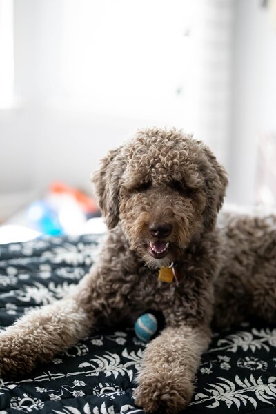 leighann-blackwood-1a9yCCOW3Rs-unsplash