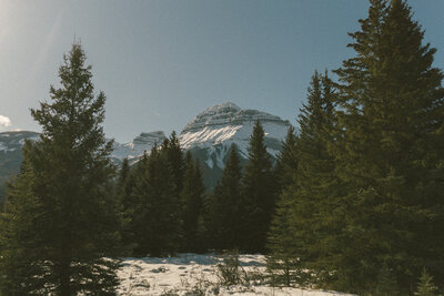 snow capped mountains in banff national park against a blue sky