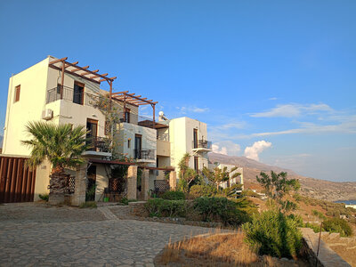 A tranquil retreat atmosphere with guests relaxing and practicing yoga outdoors.