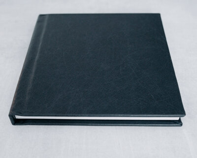 Products 8x8 Blue Album 