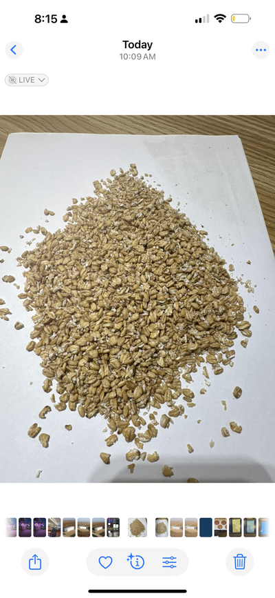 Oat flakes made in our food-grade facility.