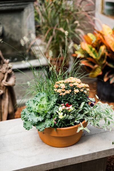 Pete's Greenhouse in Amarillo, Texas will provide you with expert information gleaned from decades of hard work and close observation. Not only are we known for growing the most vibrant blooms year after year, our customers come in seeking advice on how to maintain and grow their garden in our unique environment.