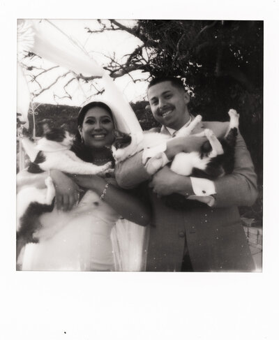 Sunset film photo in San Diego during a wedding reception