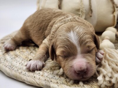 737e9c76-3ea1-438b-8dbc-9874b49c1165