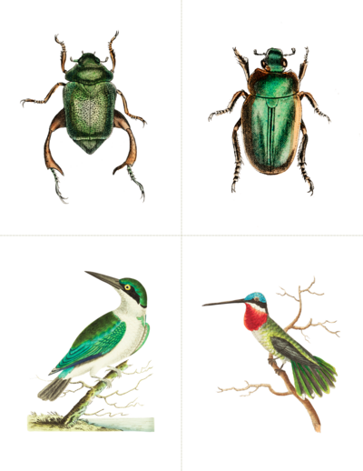 St. Patrick’s Day Nature Pattern Match — card set 1