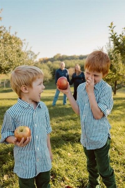brothers stand facing camera holding apples and giggling with each other as parents look on in background at alber orchard in manchester michigan