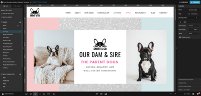Boss Breeders Template customization using Showit