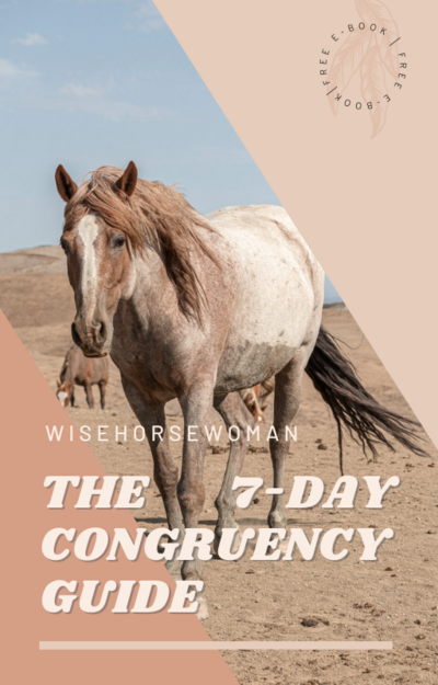 WiseHorseWoman Coaching and Equine Programs
