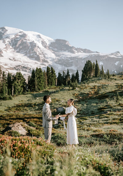 washington state elopement at mount rainier national park