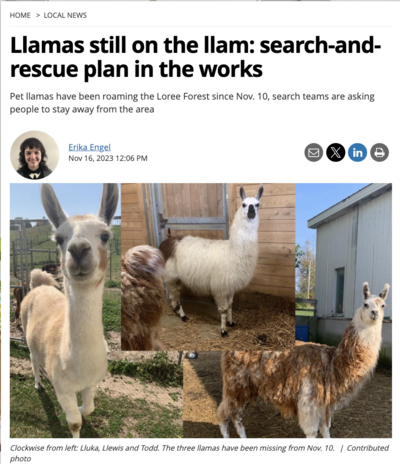 Alpaca and Llama Experience located in the Blue Mountains