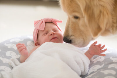 newborn portrait session