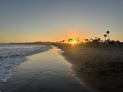 Golden horizon with palm trees at dusk, representing the start of the healing journey and the invitation to connect deeply and begin