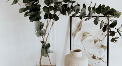 surface pattern designer Jennie Whitaker