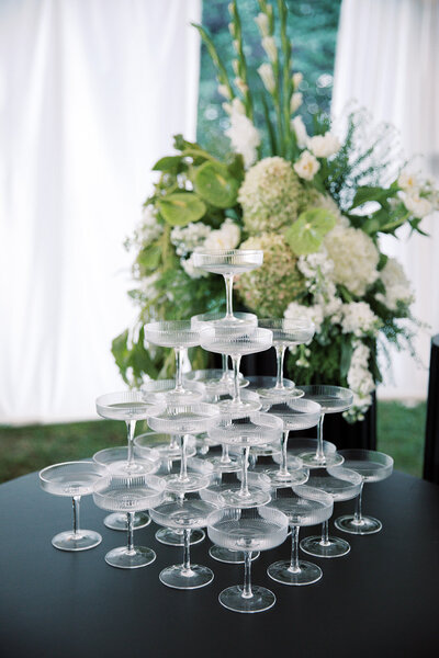 Lindsay and Tyler - Reception Details 16