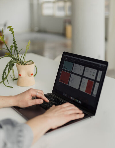 paperreka working on brand strategy and design on a laptop with a planter in the background