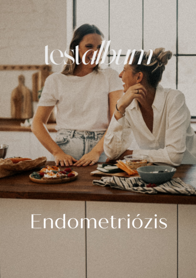 Endometriózis ebook