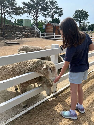 Family travel highlight reel featuring photos from Colombia, Vietnam, Canada, South Korea, and more – visual timeline of our global journey
