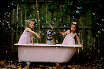 Light Shifter Studios is a Family photographer from Asheville 