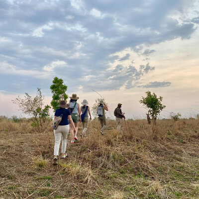 walkingsafari