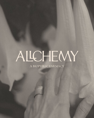 Allchemy-Logo