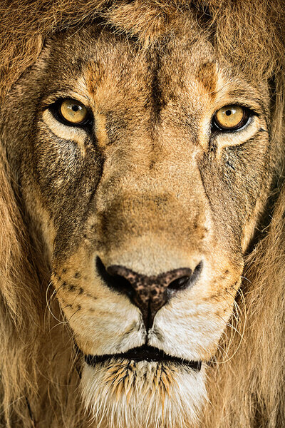 brand advertising photographer kansas city