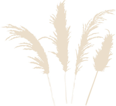pampas for rent in orange county california