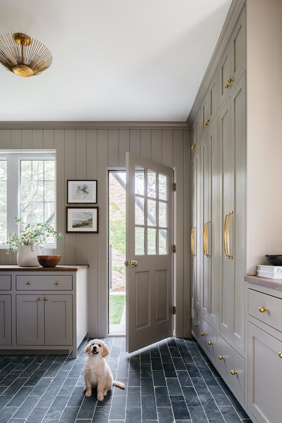 puppy sits in mudroom