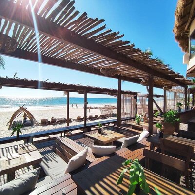 A group of women participating in a beachfront fitness or yoga session at Amansala Retreats in Tulum, moving in unison on the sand with the ocean in the background, blending wellness, community, and nature.