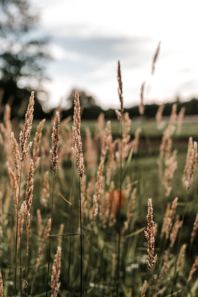 Sabrina_Sebastian_Engagement_Session_6.21.18-563