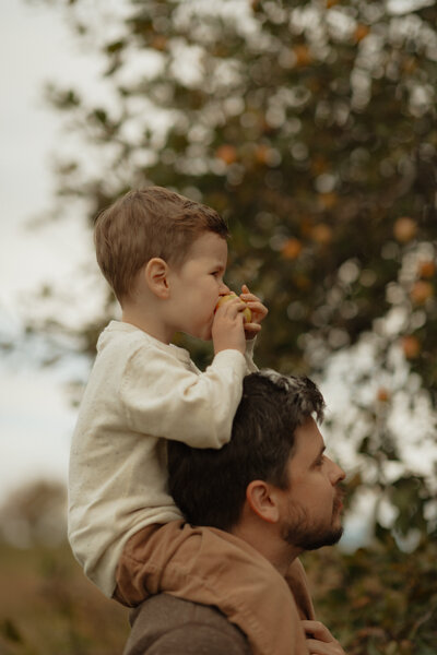 dad carrying son on shoulders through orchard in prince edward island