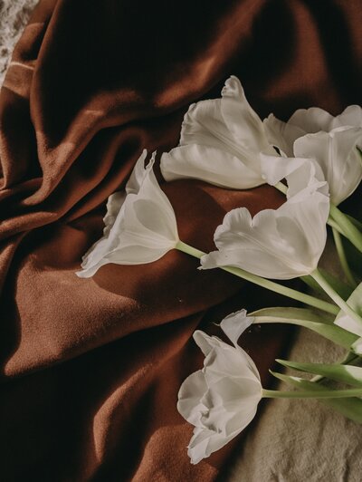 ksenia-mostovaya-BxK2qcVU35E-unsplash