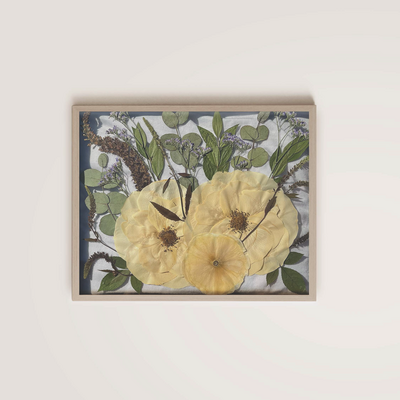 Archive Floral Preservation 8x10 pressed floral frame.